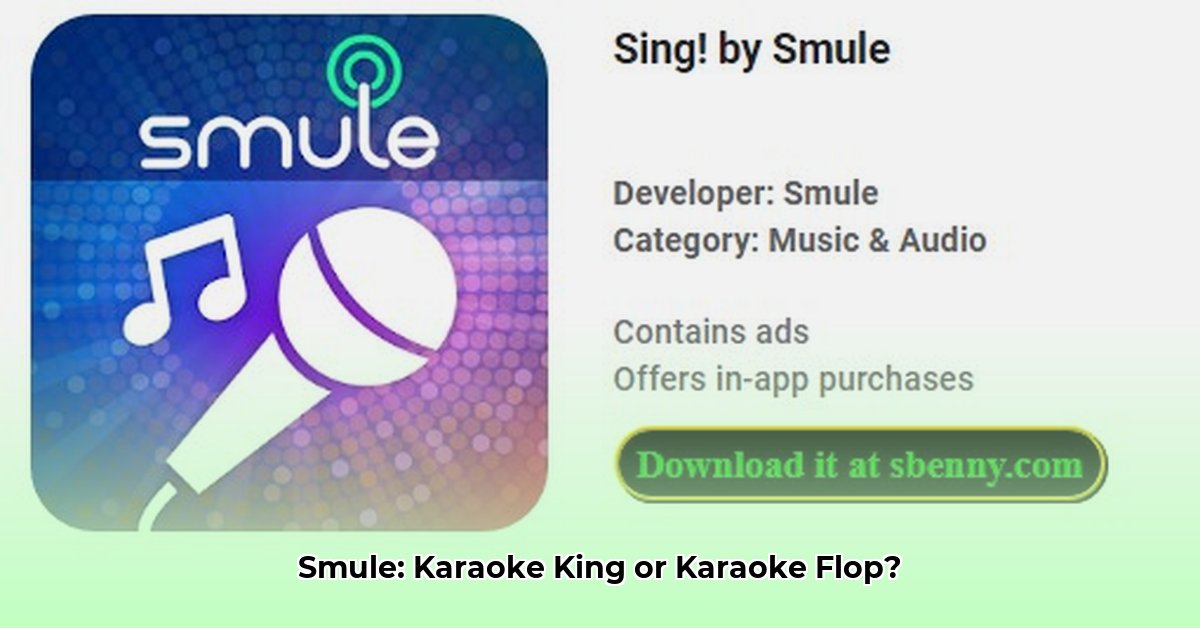 apk-smule